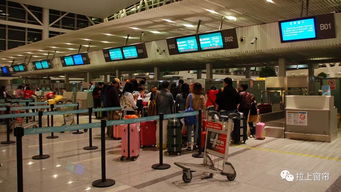 坐飛機能免費帶多少行李