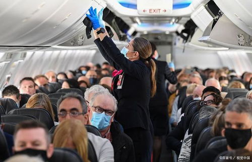 托運是免費的嗎,不同交通工具辦理托運有竅門,用好可節省費用